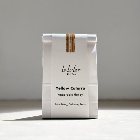 [Salavan province] Yellow Caturra / Anaerobic Honey Process [焙煎豆]