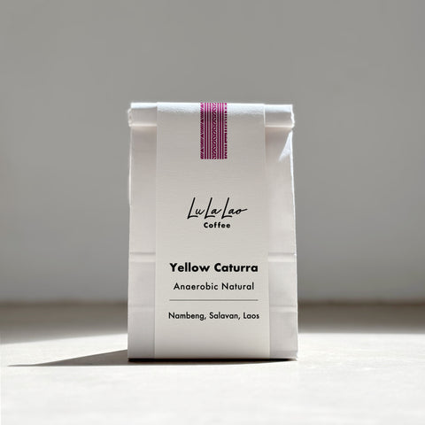 [Salavan province] Yellow Caturra / Anaerobic Natural Process [焙煎豆]