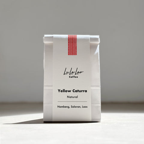 [Salavan province] Yellow Caturra / Natural Process [焙煎豆]