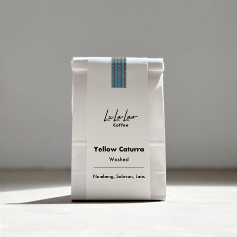 [Salavan province] Yellow Caturra / Washed Process [焙煎豆]